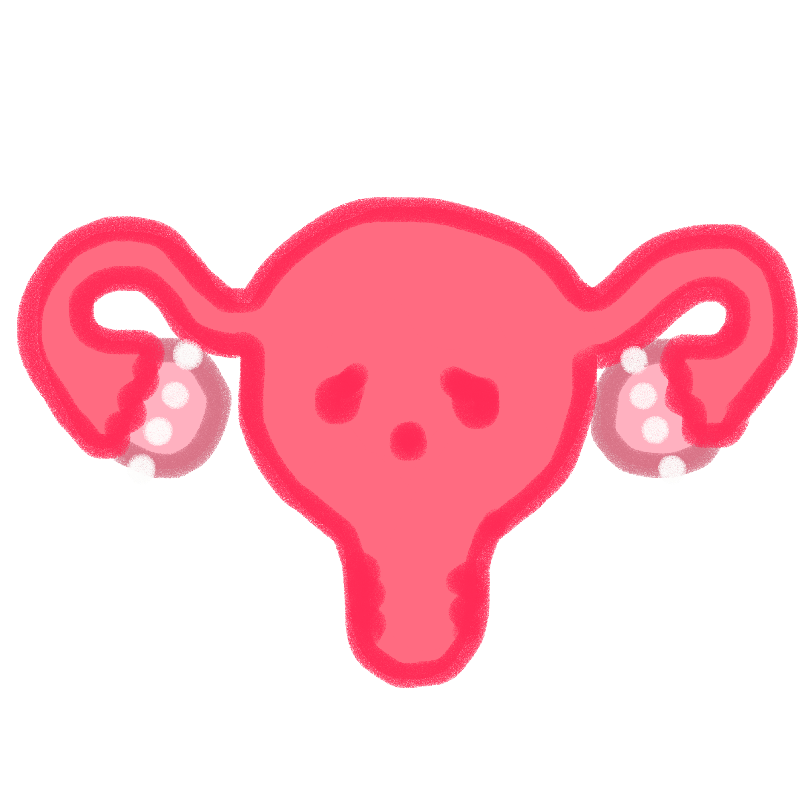 a pink uterus with upset eyes, there’s 4 white cysts on each ovary